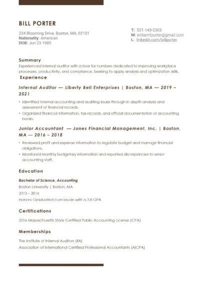 Auditor resume example to download in word