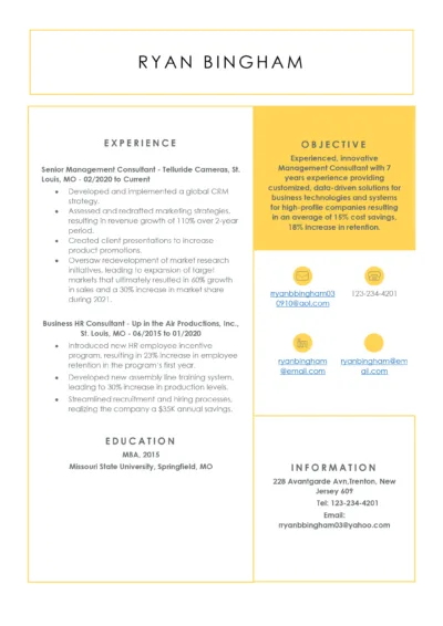 Management consultant Resume Example to download