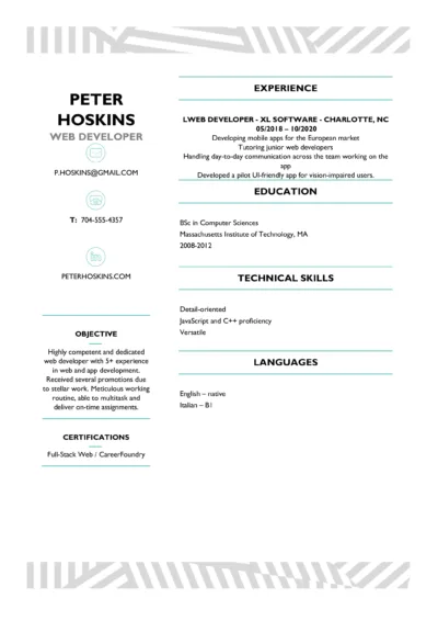 Web Developer Resume Example to download