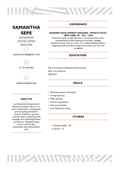 Business Development Resume Example to download in word