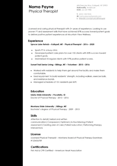 Physical Therapist Resume Example to download in word